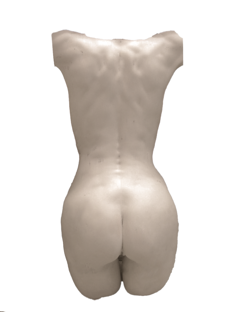 Torsos