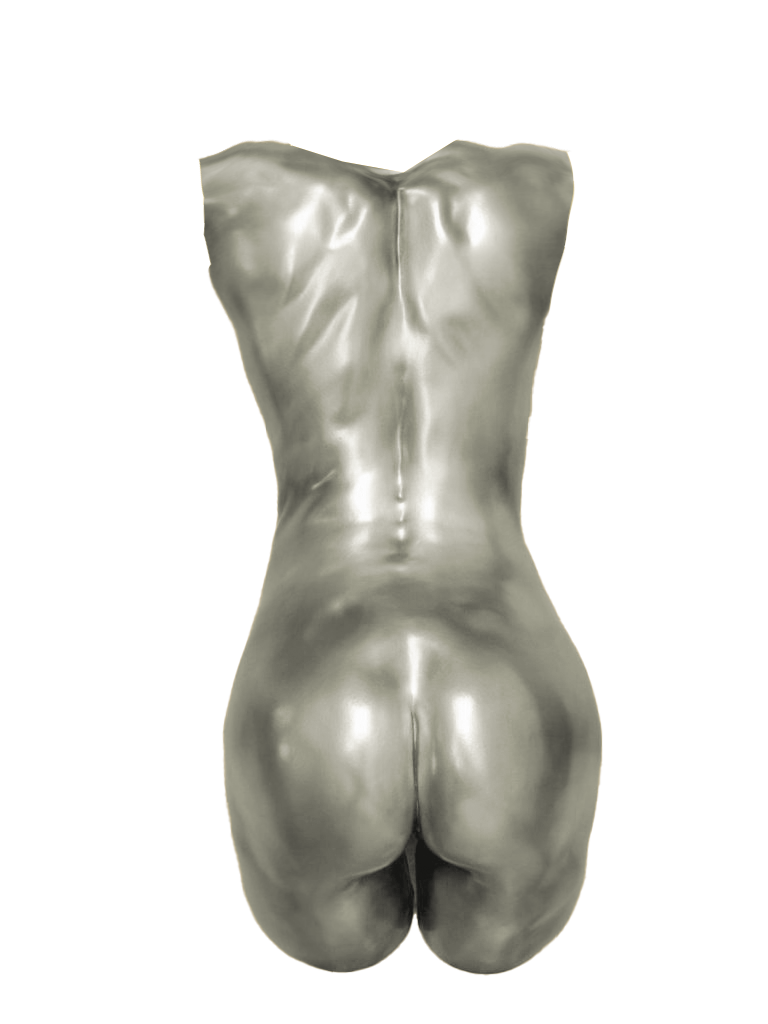 Torsos